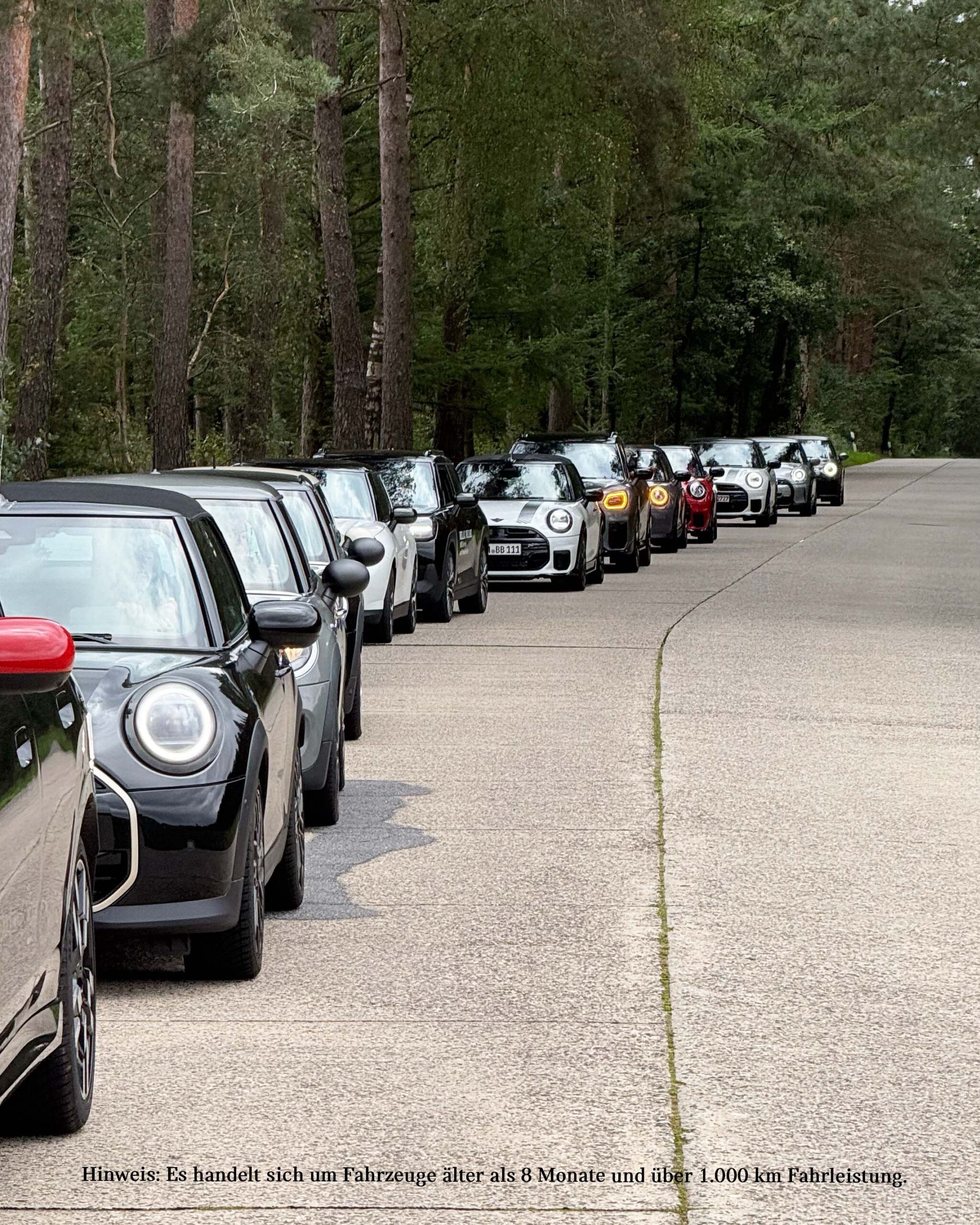 Verschiedene MINI aufgereiht hintereinander